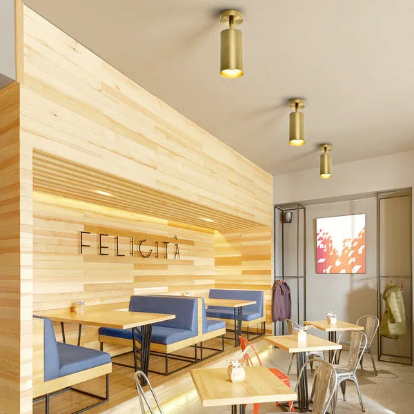 Messing Spot Deckenleuchte Modern Wohnzimmer LED